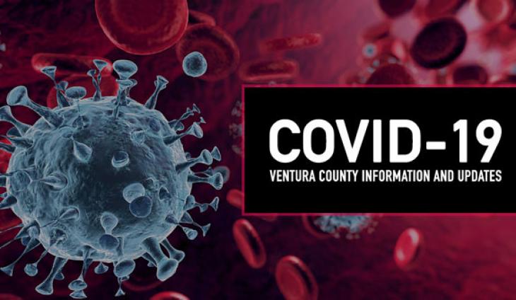 COVID-19 (CORONAVIRUS)